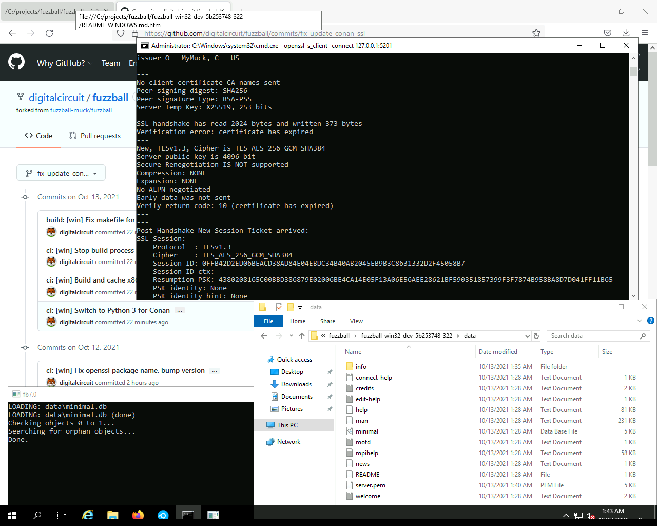 Screenshot of Windows 10 on AppVeyor showing Fuzzball running, launched via cmd.exe, with Fuzzball server window open and another cmd.exe window with "openssl s_client -connect 127.0.0.1:5201" showing the TLSv1.3 negotiation